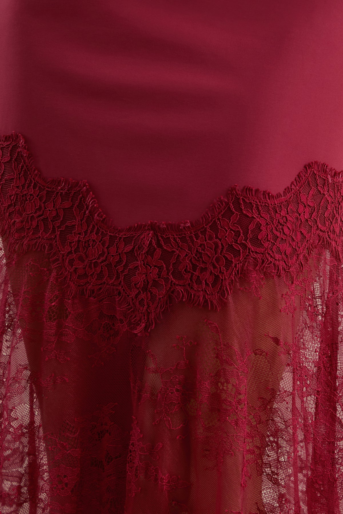 ECM_HR_CL137240102_Fianna Burgundy Sleeveless Fitted Maxi Dress with Lace Hem 53.jpg