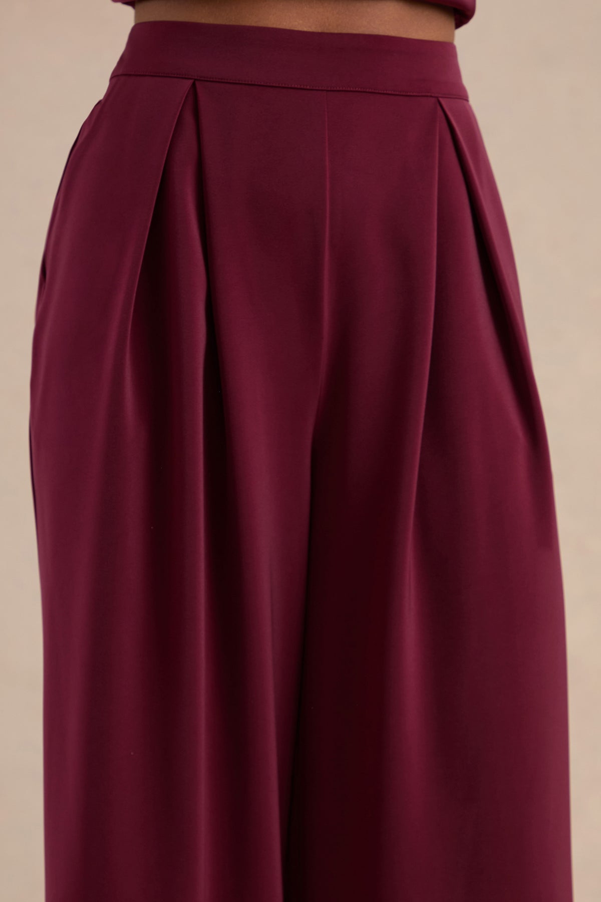 CL138968101 - Marne Berry High-Waisted Wide-Leg Tailored Trousers4.jpg